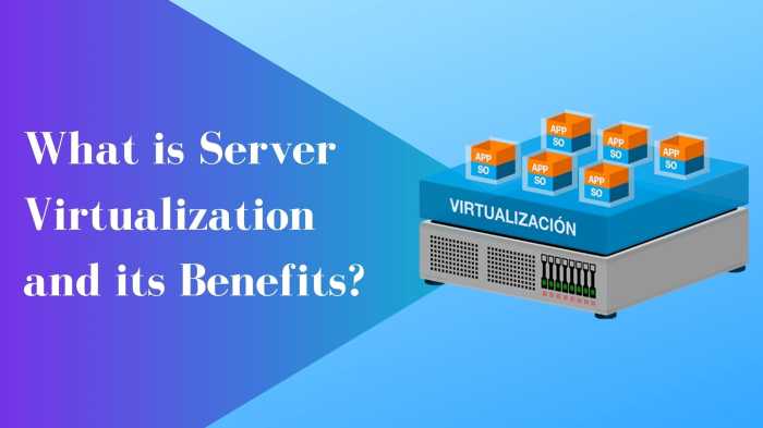 Server virtualization offers significant cost savings because